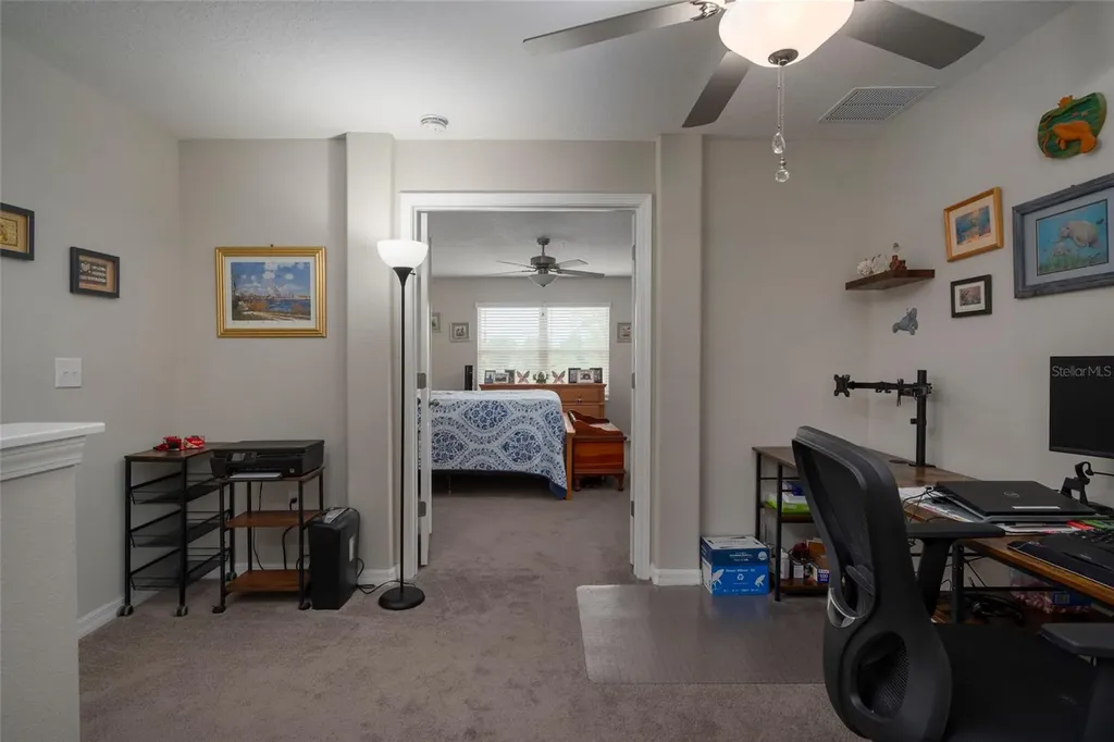 11704 Castine Street New Port Richey FL 34654