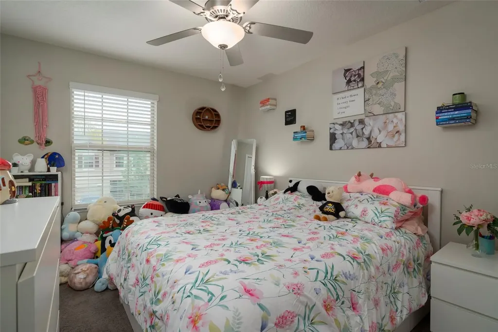 11704 Castine Street New Port Richey FL 34654