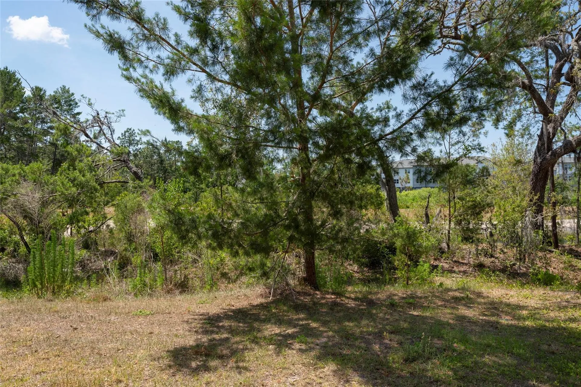11704 Castine Street New Port Richey FL 34654