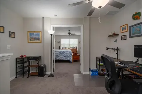 11704 Castine Street New Port Richey FL 34654