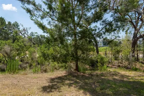 11704 Castine Street New Port Richey FL 34654