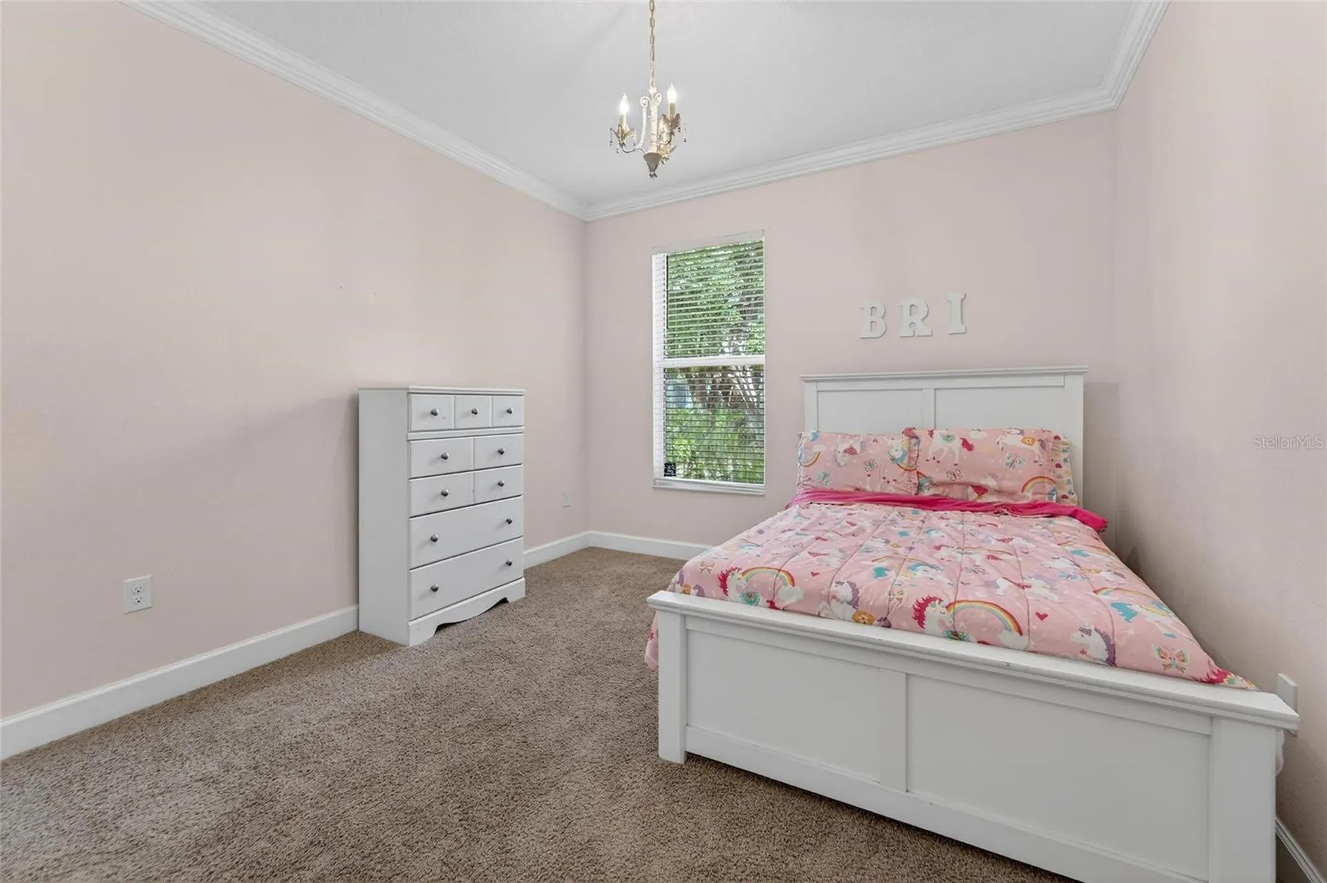 627 Limona Woods Drive Brandon FL 33510