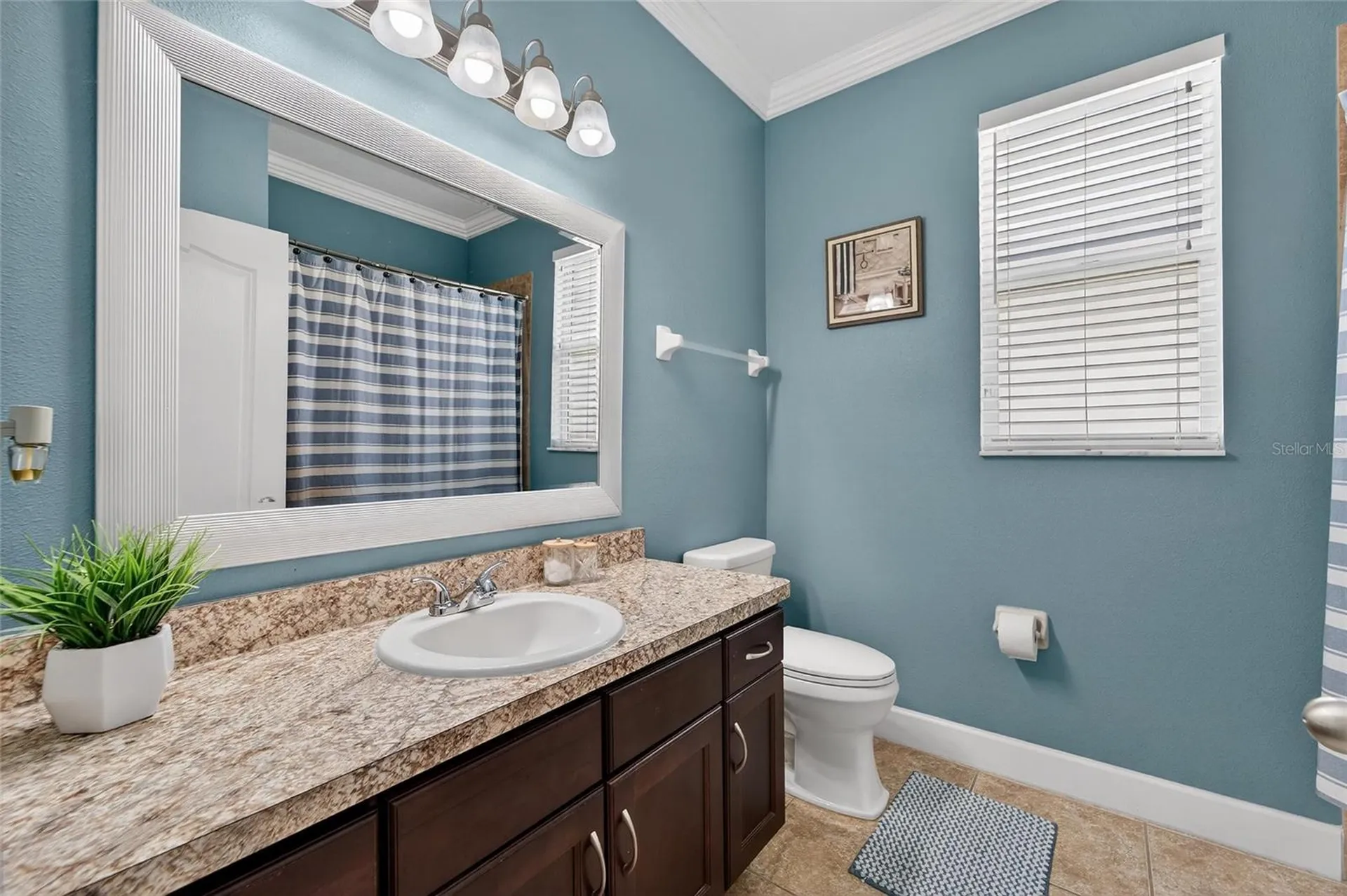 627 Limona Woods Drive Brandon FL 33510