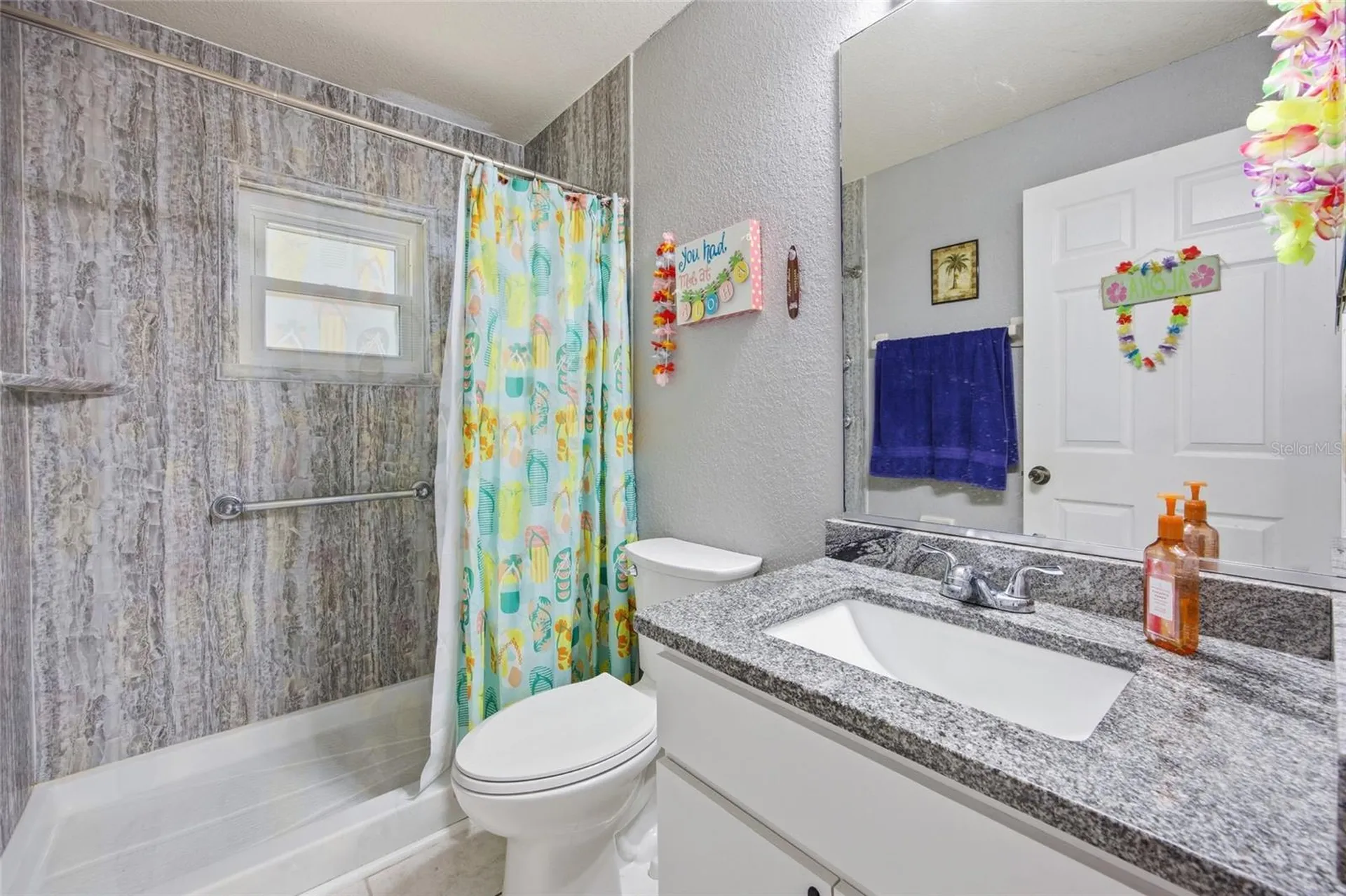 2428 SW 147th Place Road Ocala FL 34473