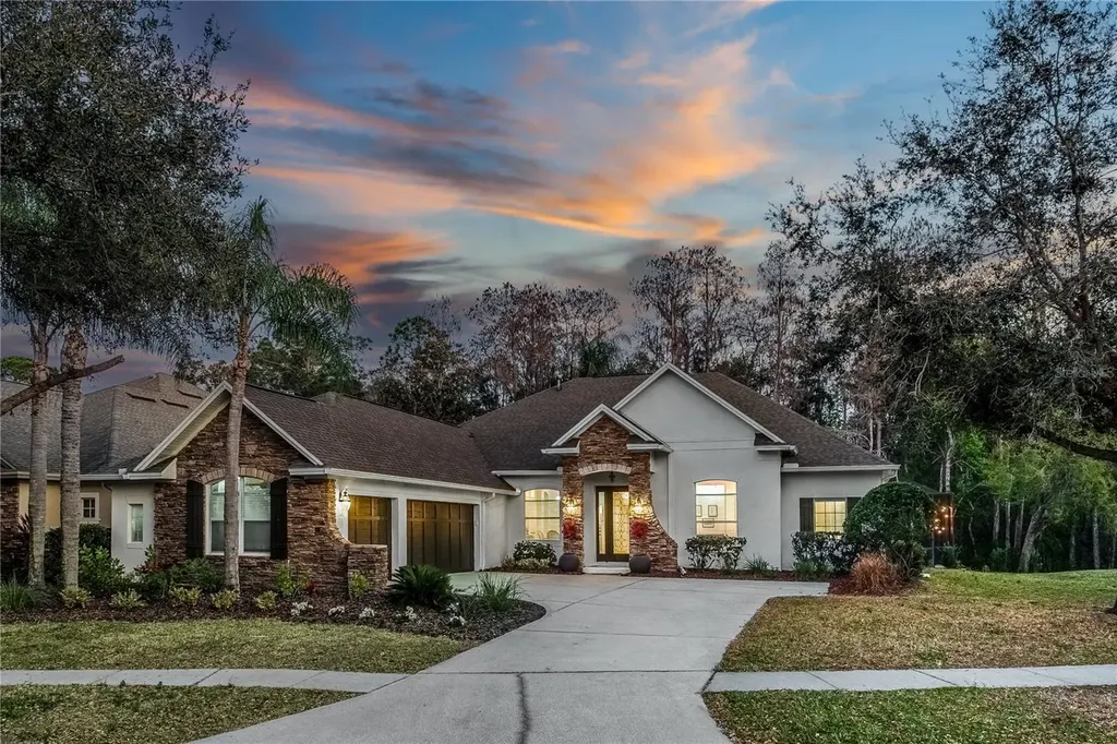 12116 San Chaliford Court Tampa FL 33626