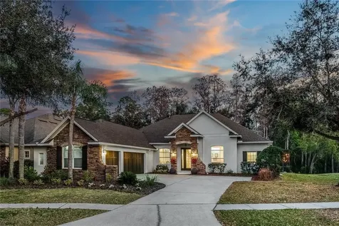12116 San Chaliford Court Tampa FL 33626