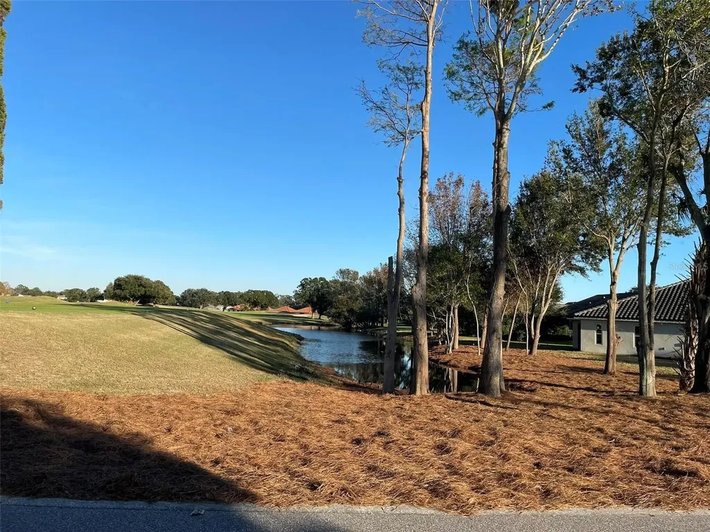 17708 Sawgrass Run Deer Island FL 32778