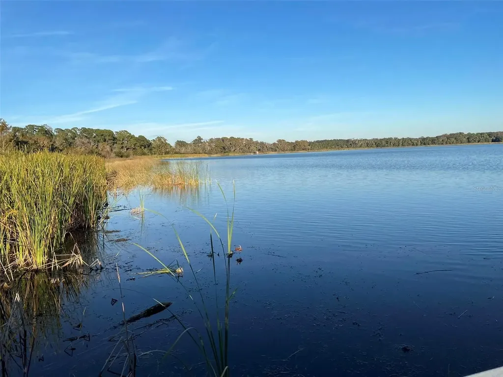 17708 Sawgrass Run Deer Island FL 32778