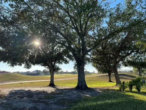 17708 Sawgrass Run Deer Island FL 32778