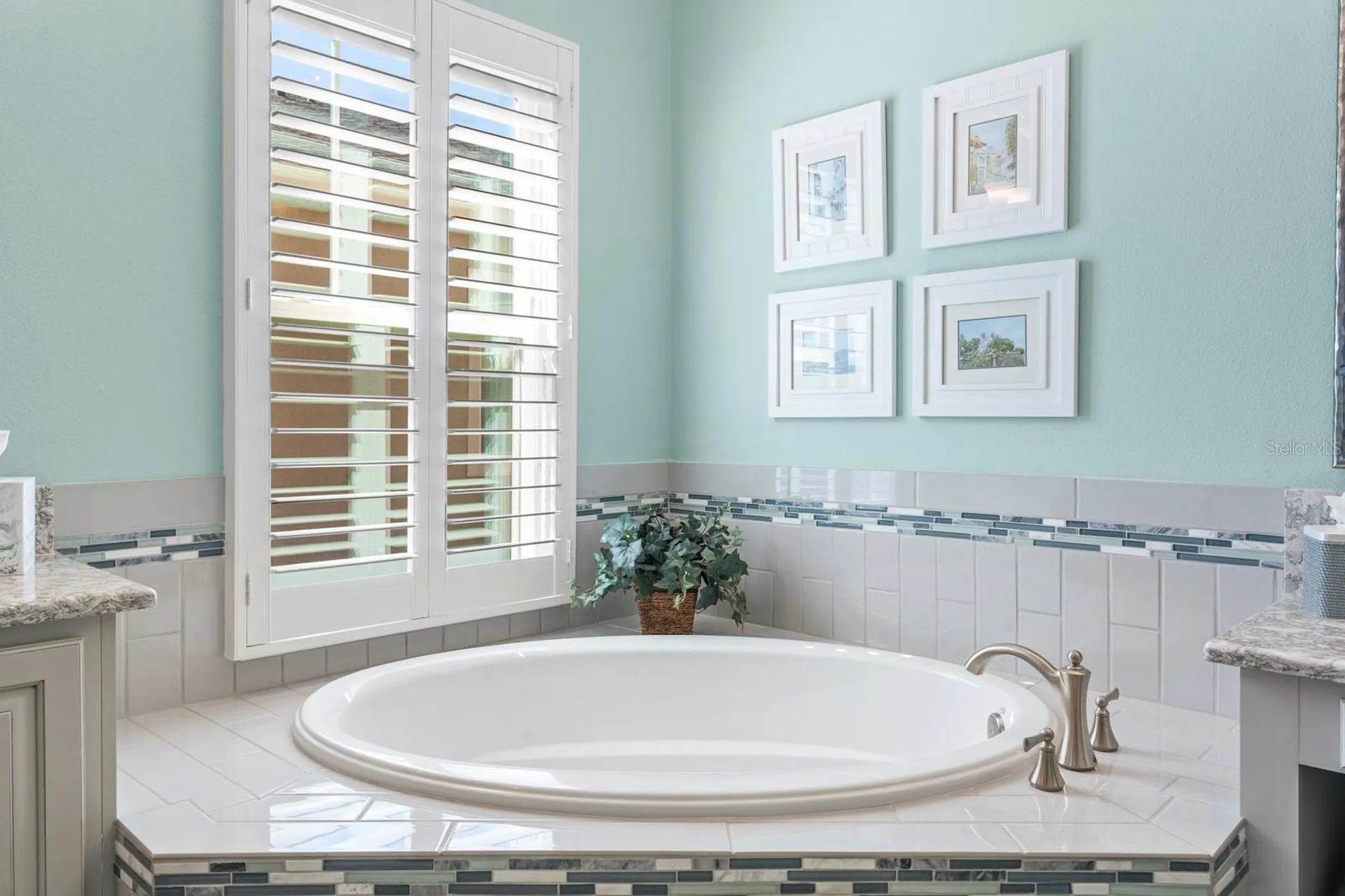 7328 Paradiso Drive Apollo Beach FL 33572