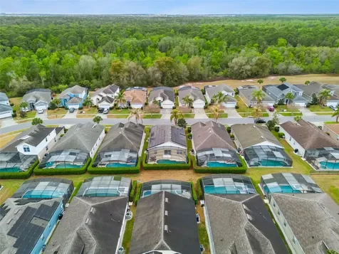 8152 Sun Palm Drive Kissimmee FL 34747