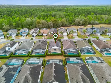 8152 Sun Palm Drive Kissimmee FL 34747