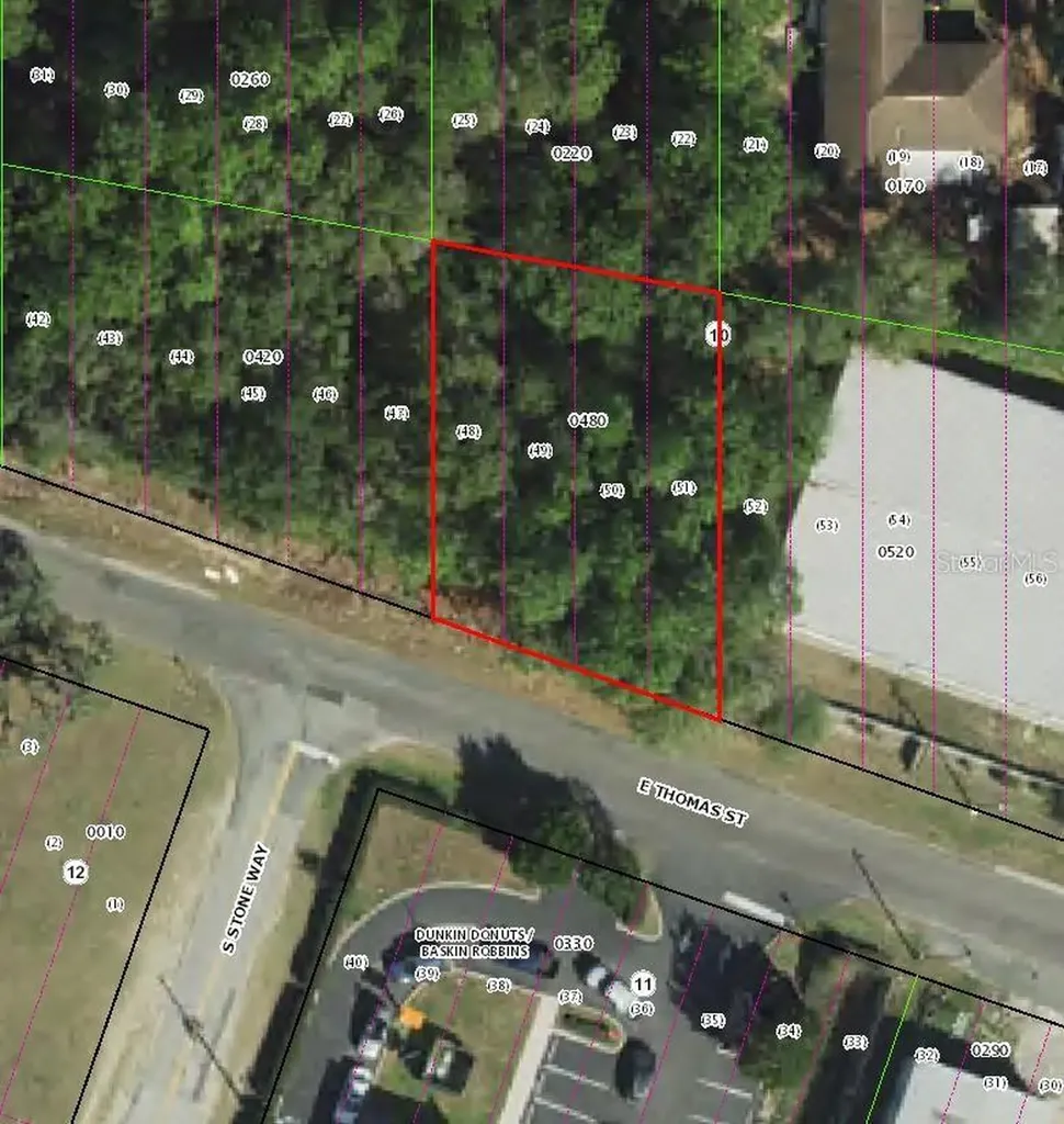 3081 E Thomas Street Inverness FL 34453