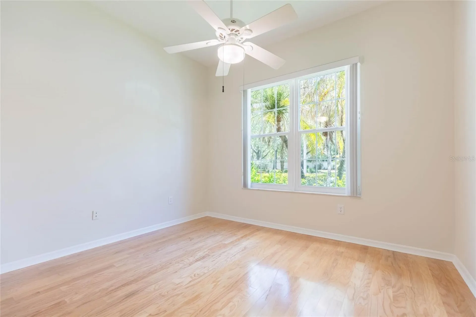 17746 Nathans Drive Tampa FL 33647