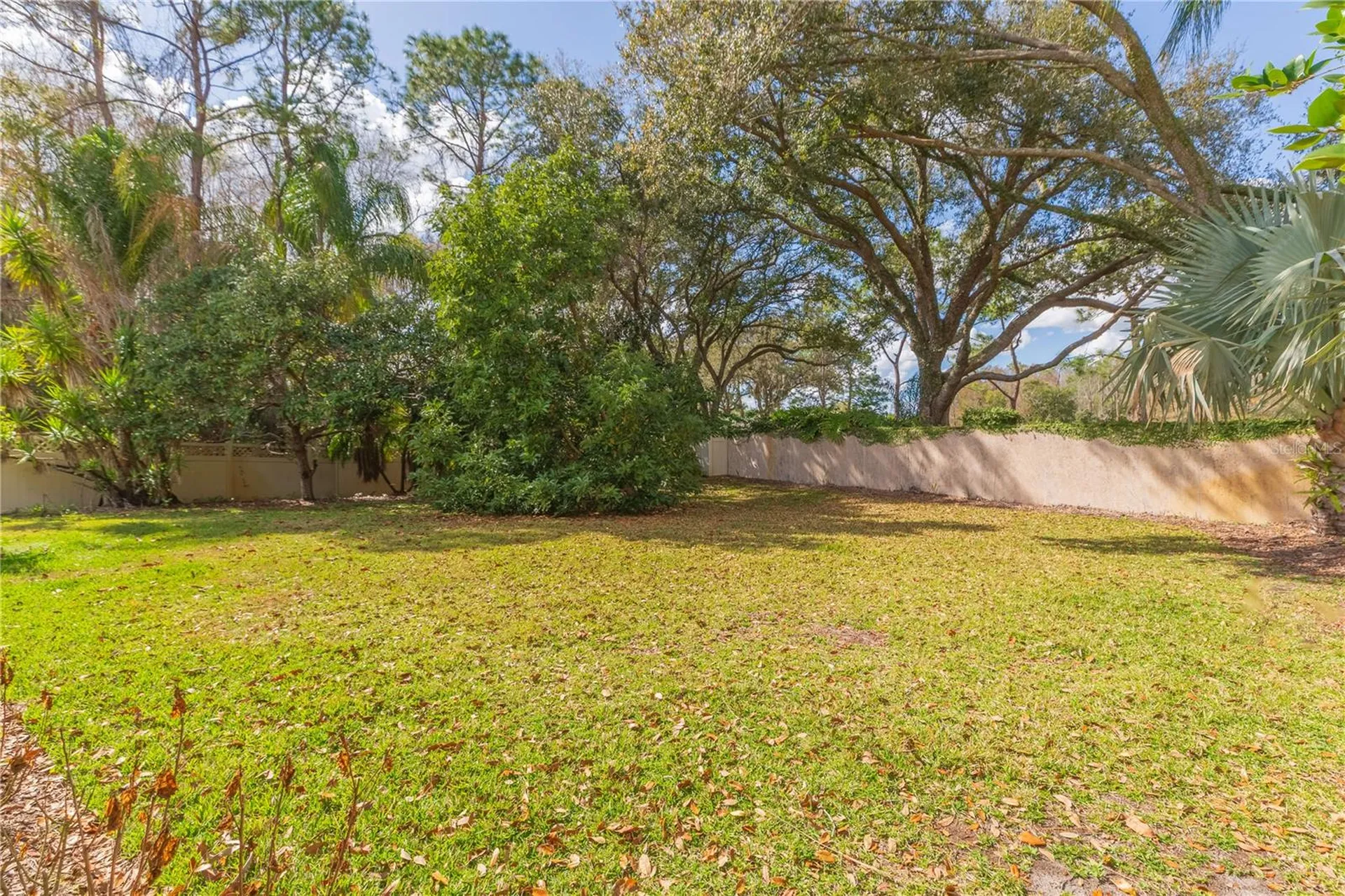 17746 Nathans Drive Tampa FL 33647