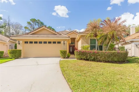 17746 Nathans Drive Tampa FL 33647