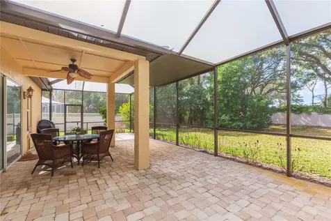 17746 Nathans Drive Tampa FL 33647