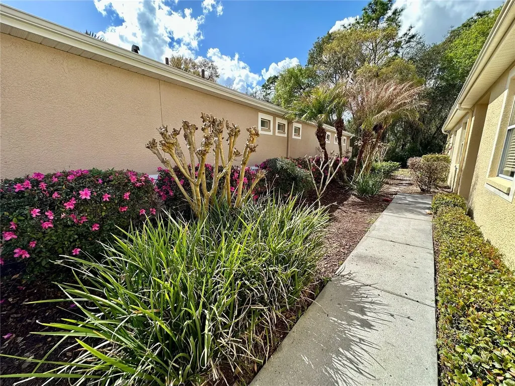 8137 Ponkan Road Land O Lakes FL 34637