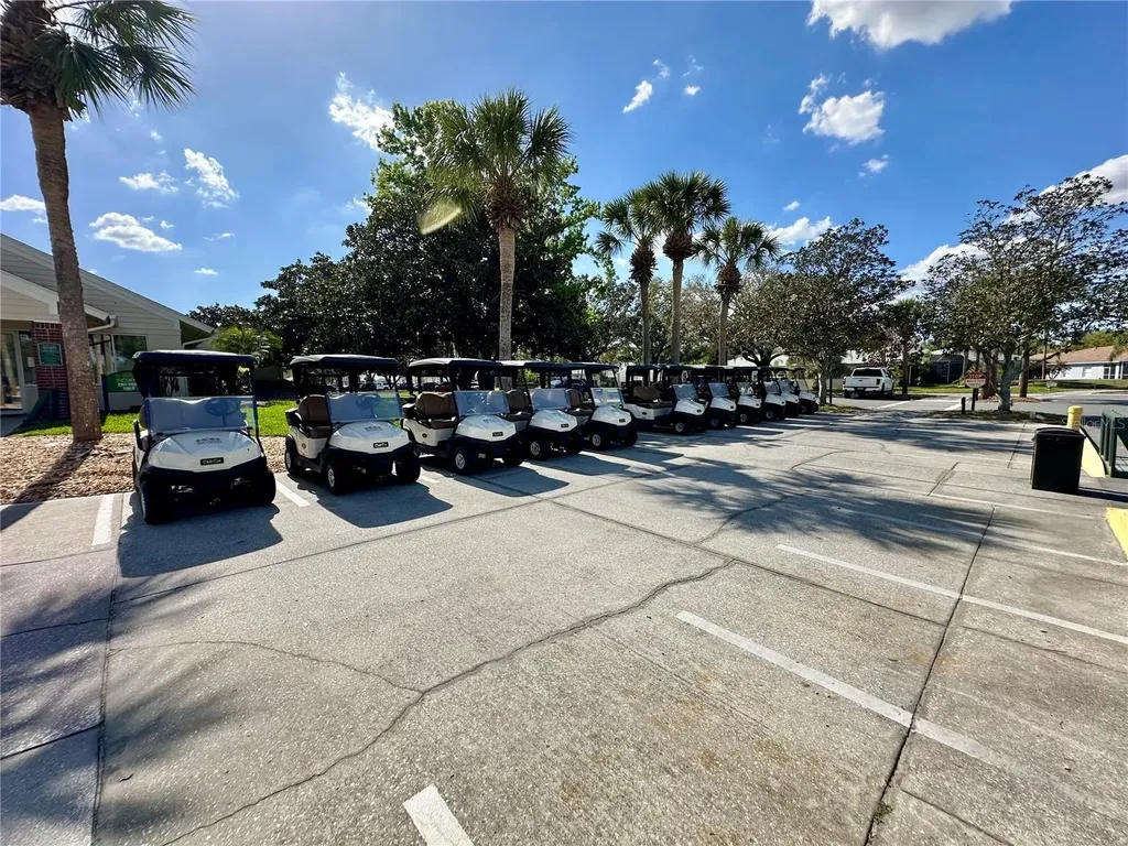 8137 Ponkan Road Land O Lakes FL 34637
