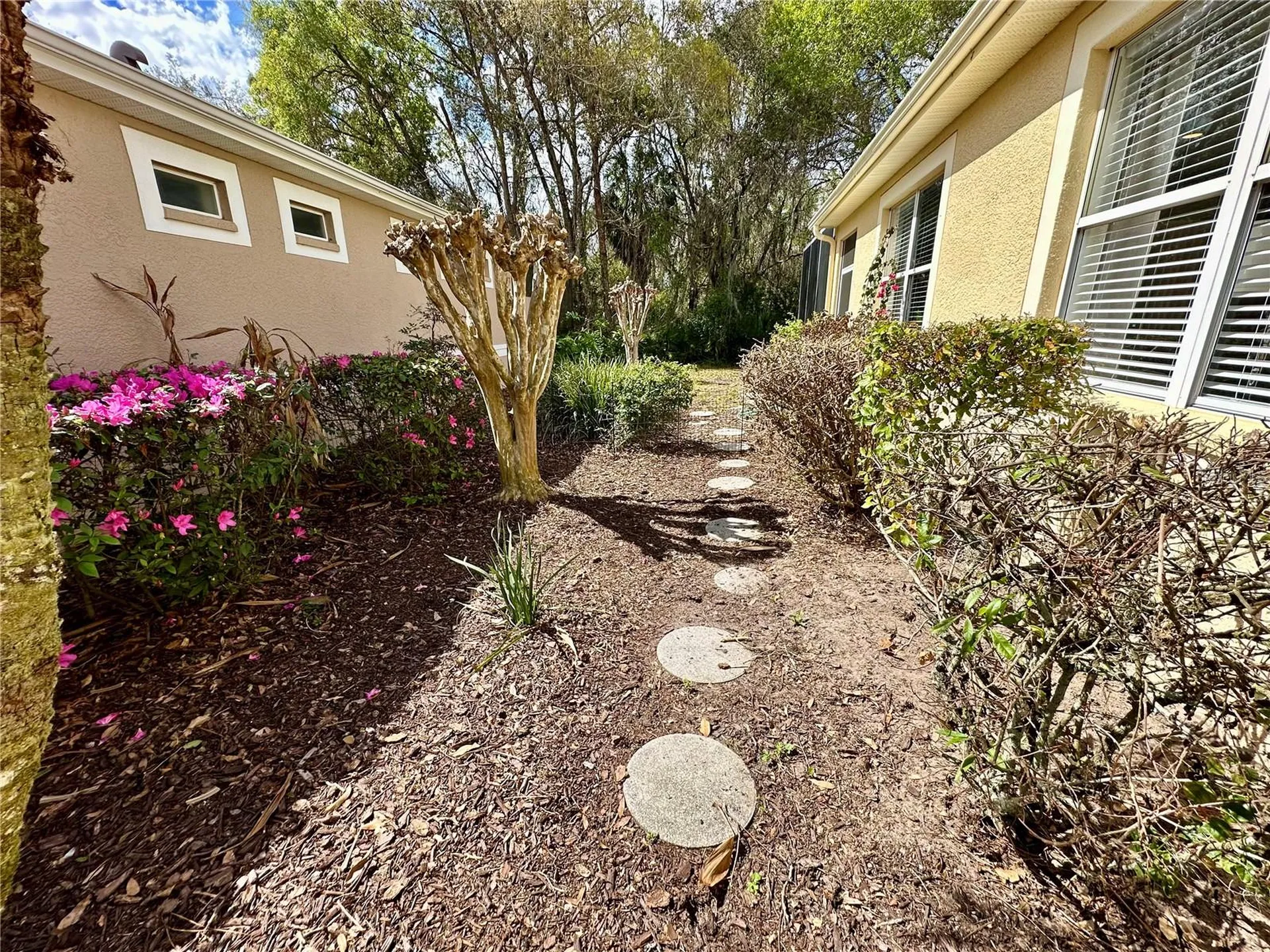 8137 Ponkan Road Land O Lakes FL 34637