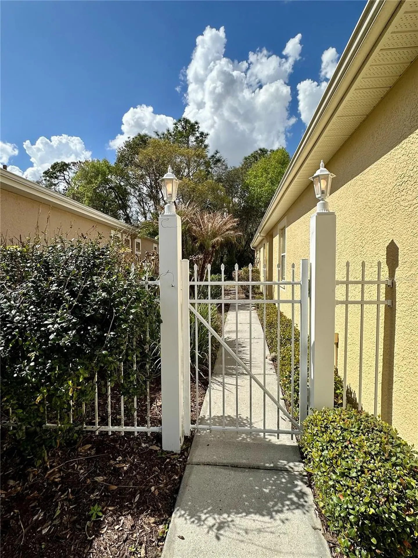 8137 Ponkan Road Land O Lakes FL 34637