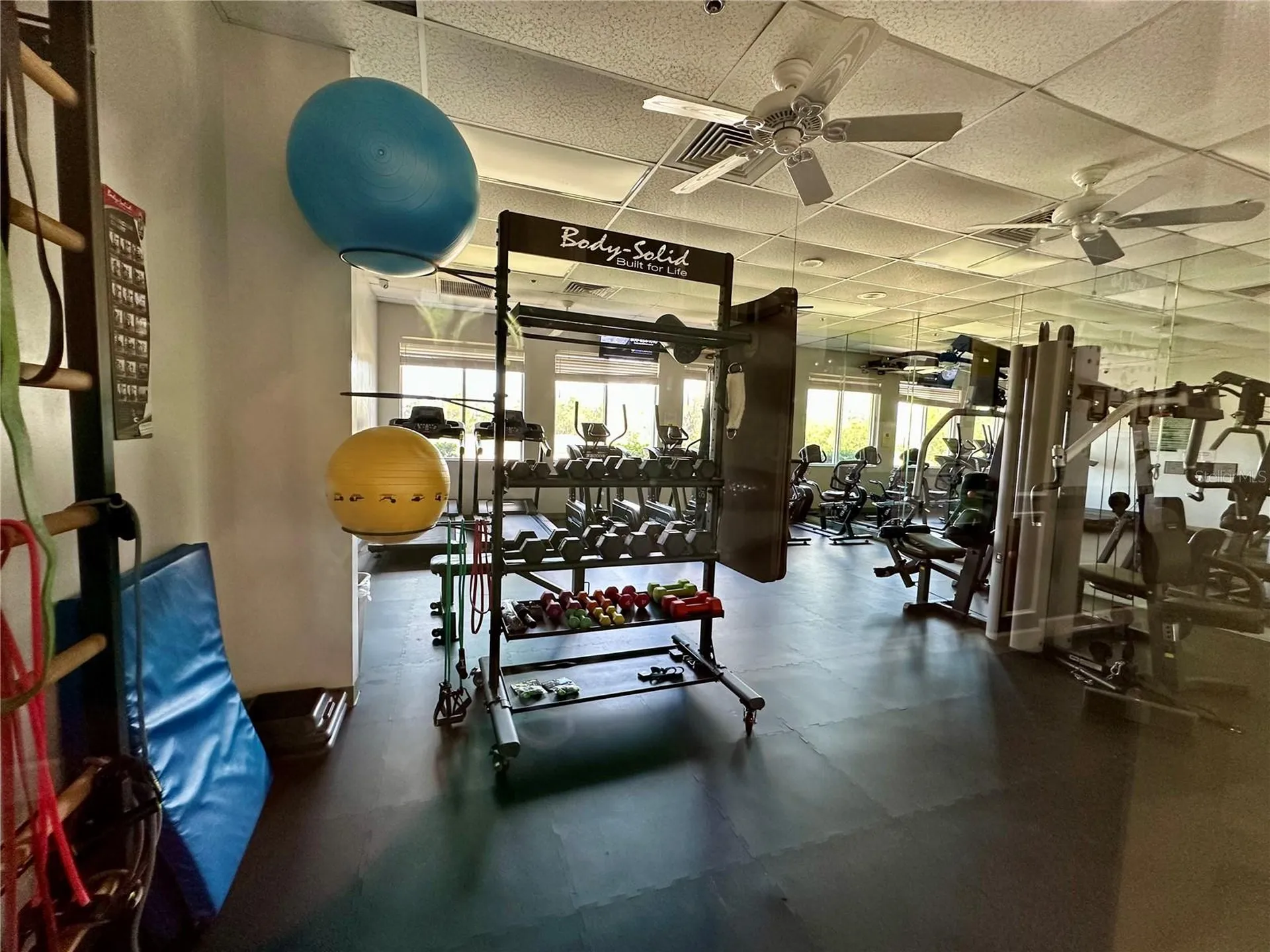 8137 Ponkan Road Land O Lakes FL 34637