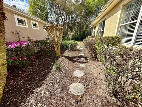 8137 Ponkan Road Land O Lakes FL 34637