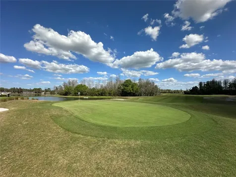 8137 Ponkan Road Land O Lakes FL 34637
