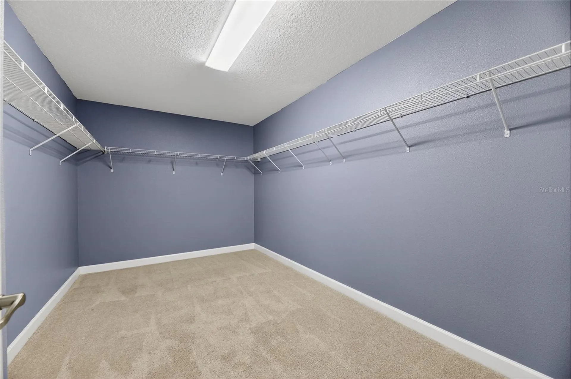 12104 Echo Basin Cove Riverview FL 33579