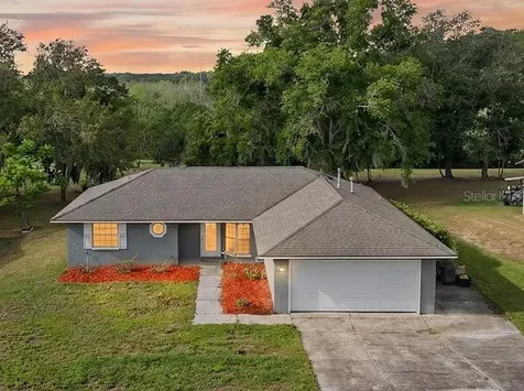 12584 Wedgefield Drive Grand Island FL 32735