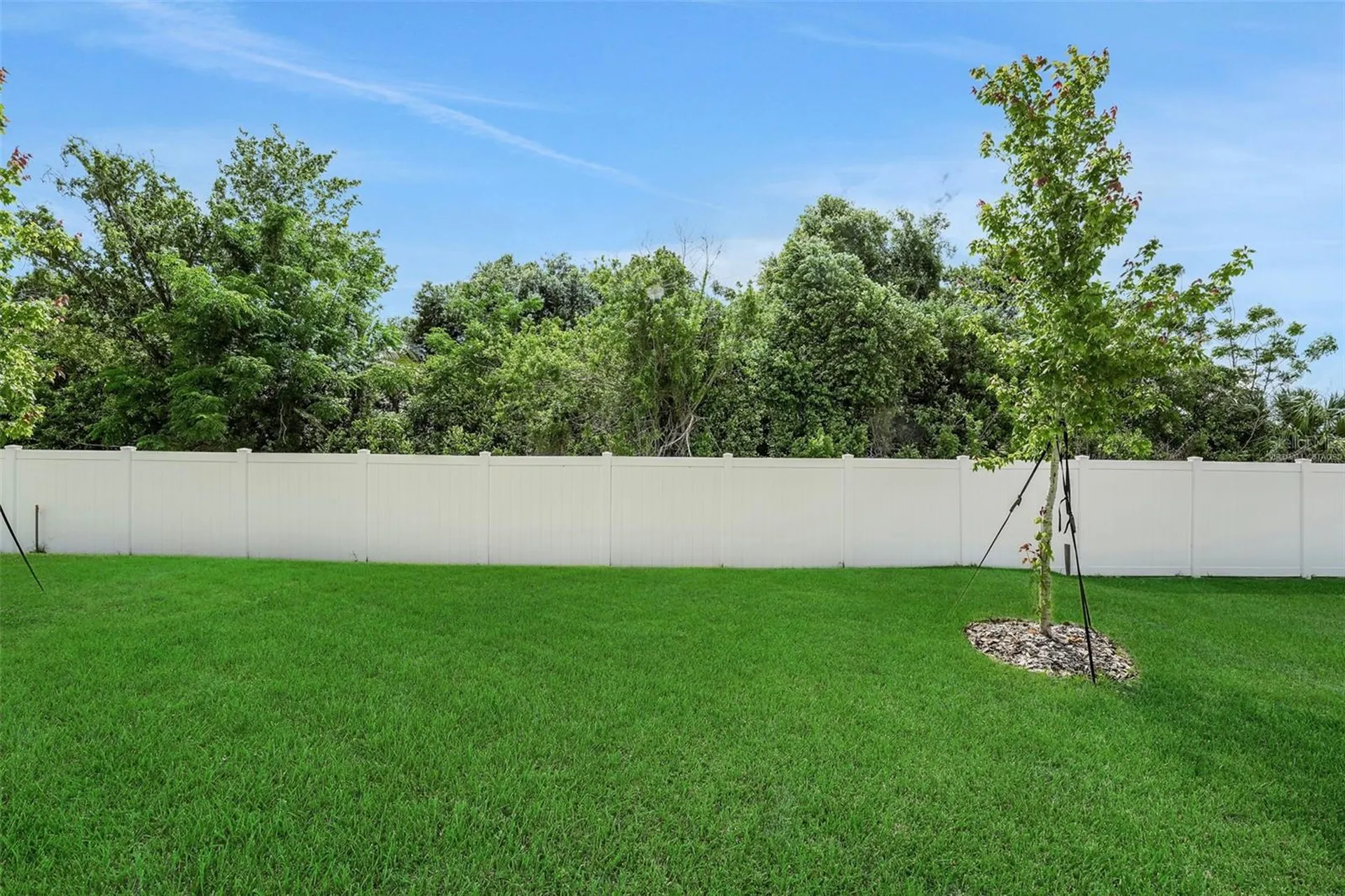 5051 Abigail Drive Lake Wales FL 33859
