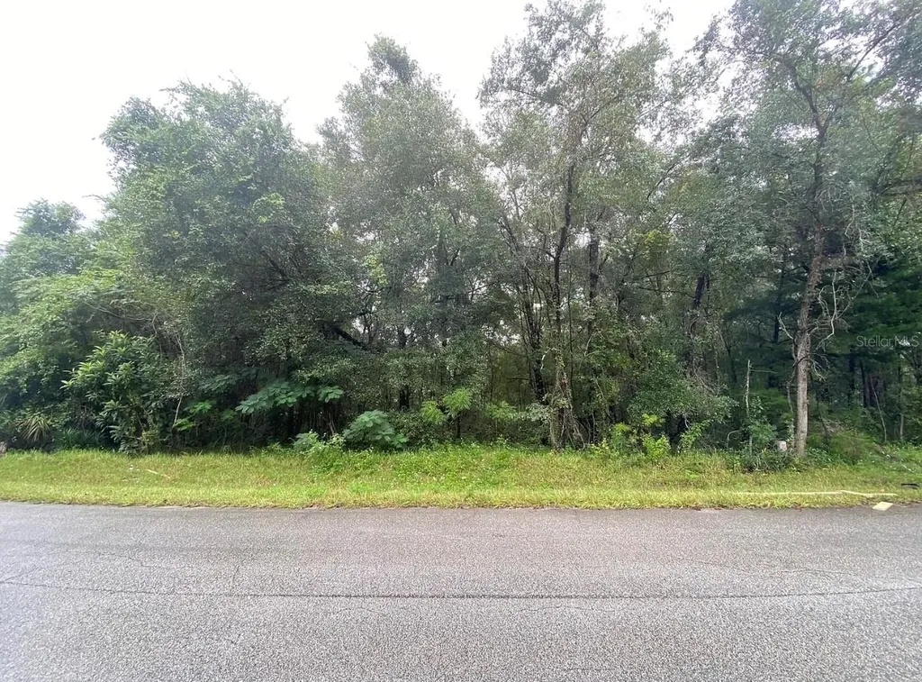 425 E Elgrove Drive Citrus Springs FL 34434