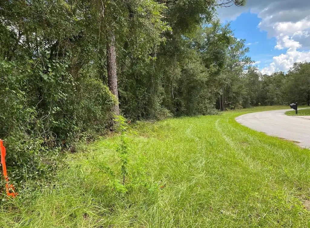 425 E Elgrove Drive Citrus Springs FL 34434