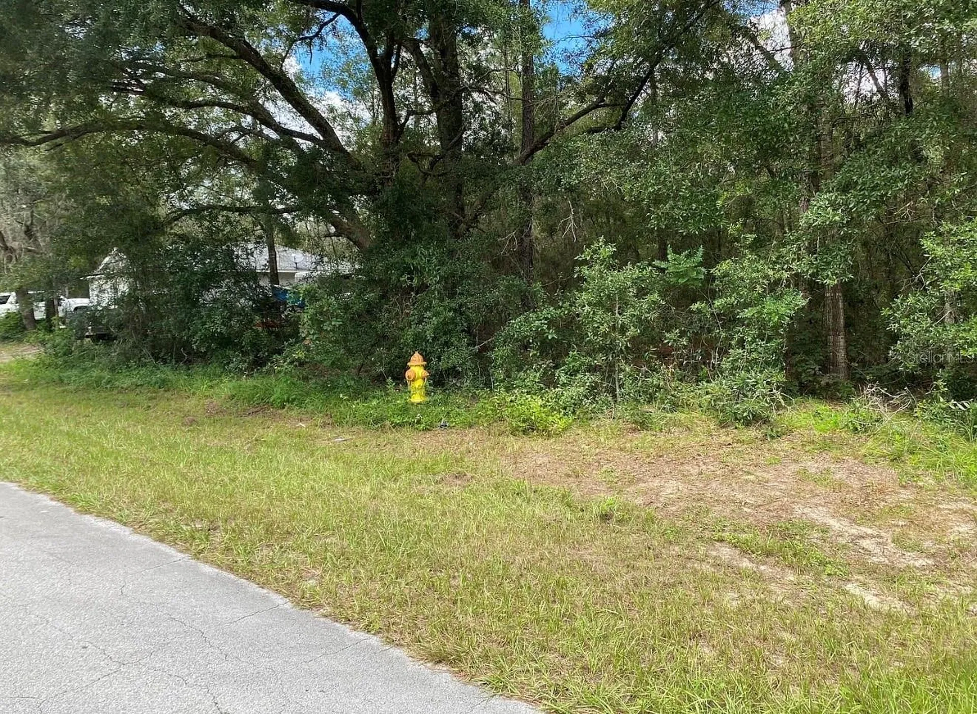 425 E Elgrove Drive Citrus Springs FL 34434
