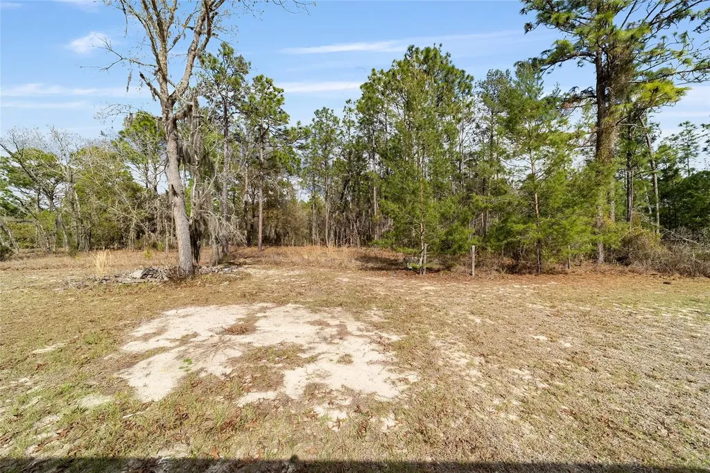 102 Whirlwind Way Hawthorne FL 32640