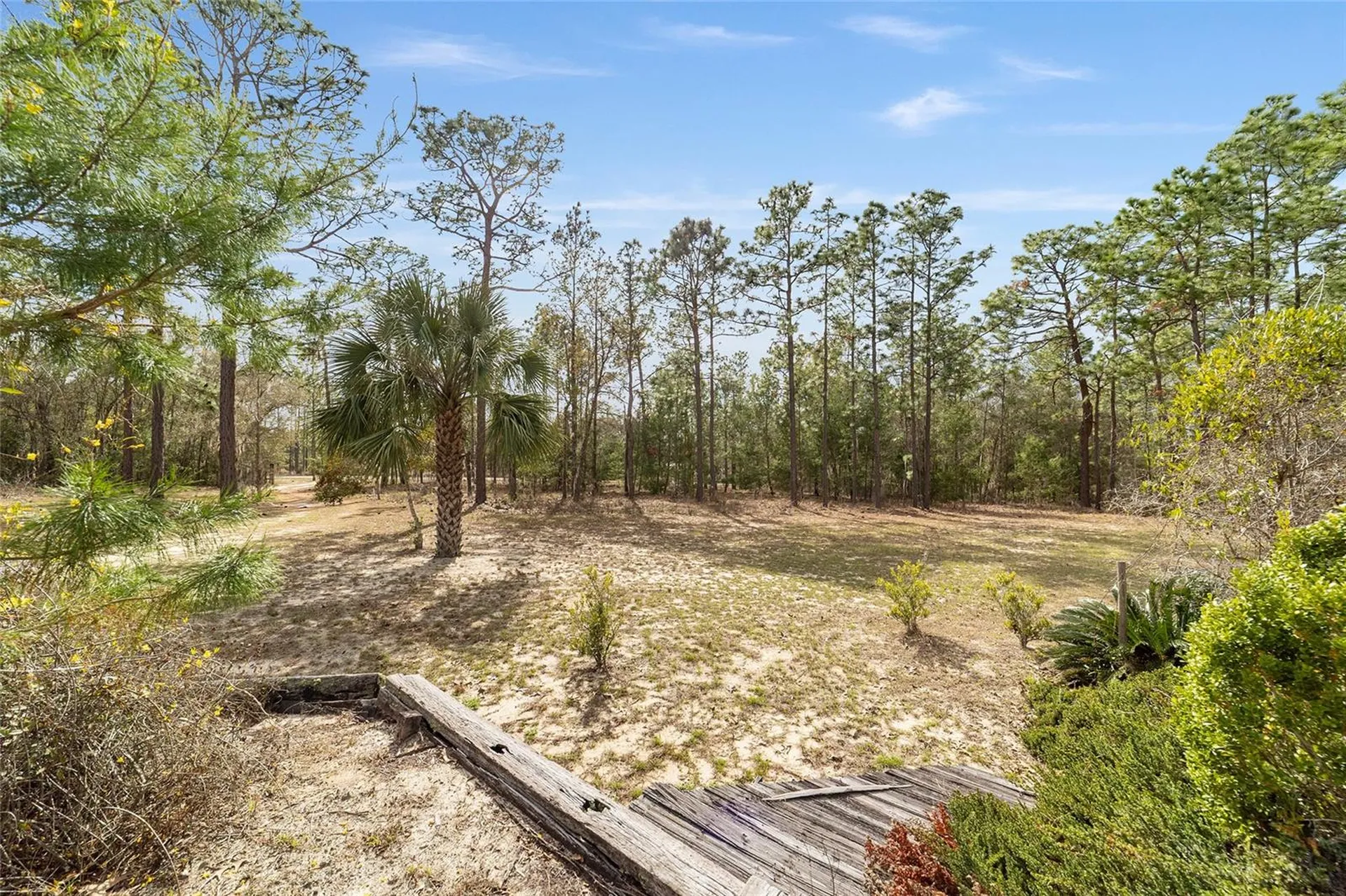 102 Whirlwind Way Hawthorne FL 32640