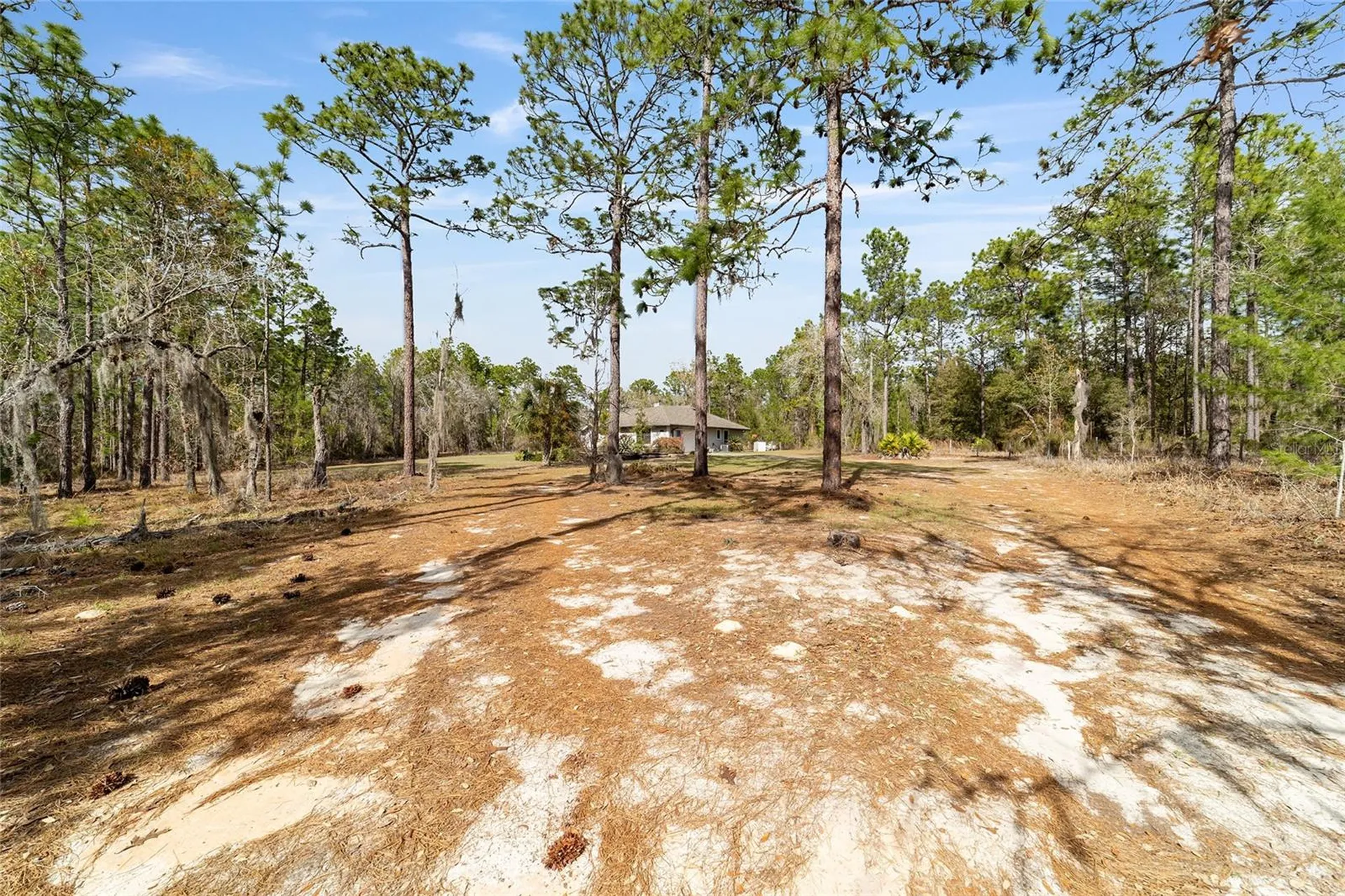 102 Whirlwind Way Hawthorne FL 32640