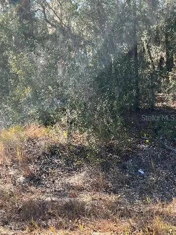 Tbd Locust Pass Loop Ocala FL 34472