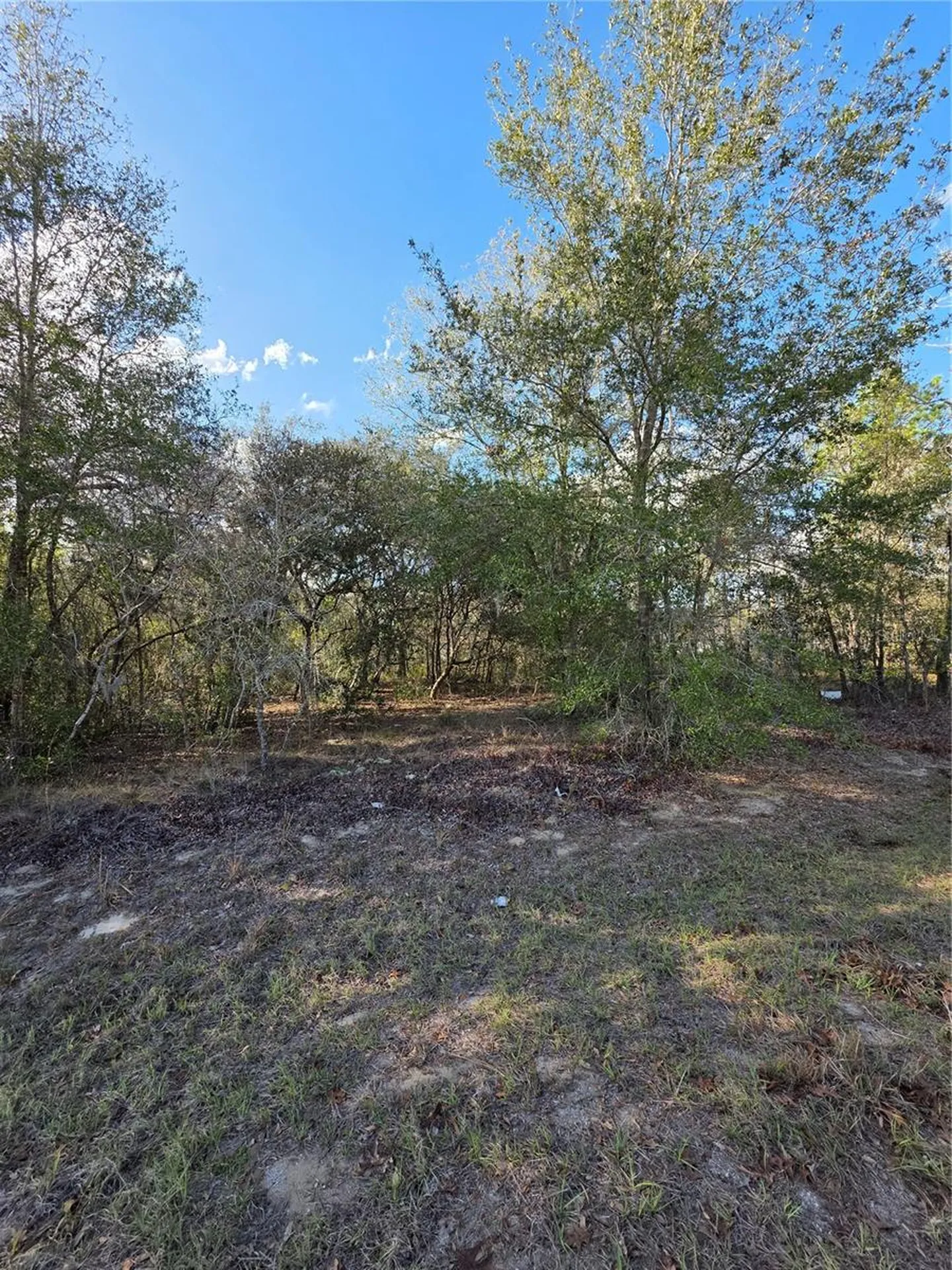 Tbd Locust Loop Circle Ocala FL 34472