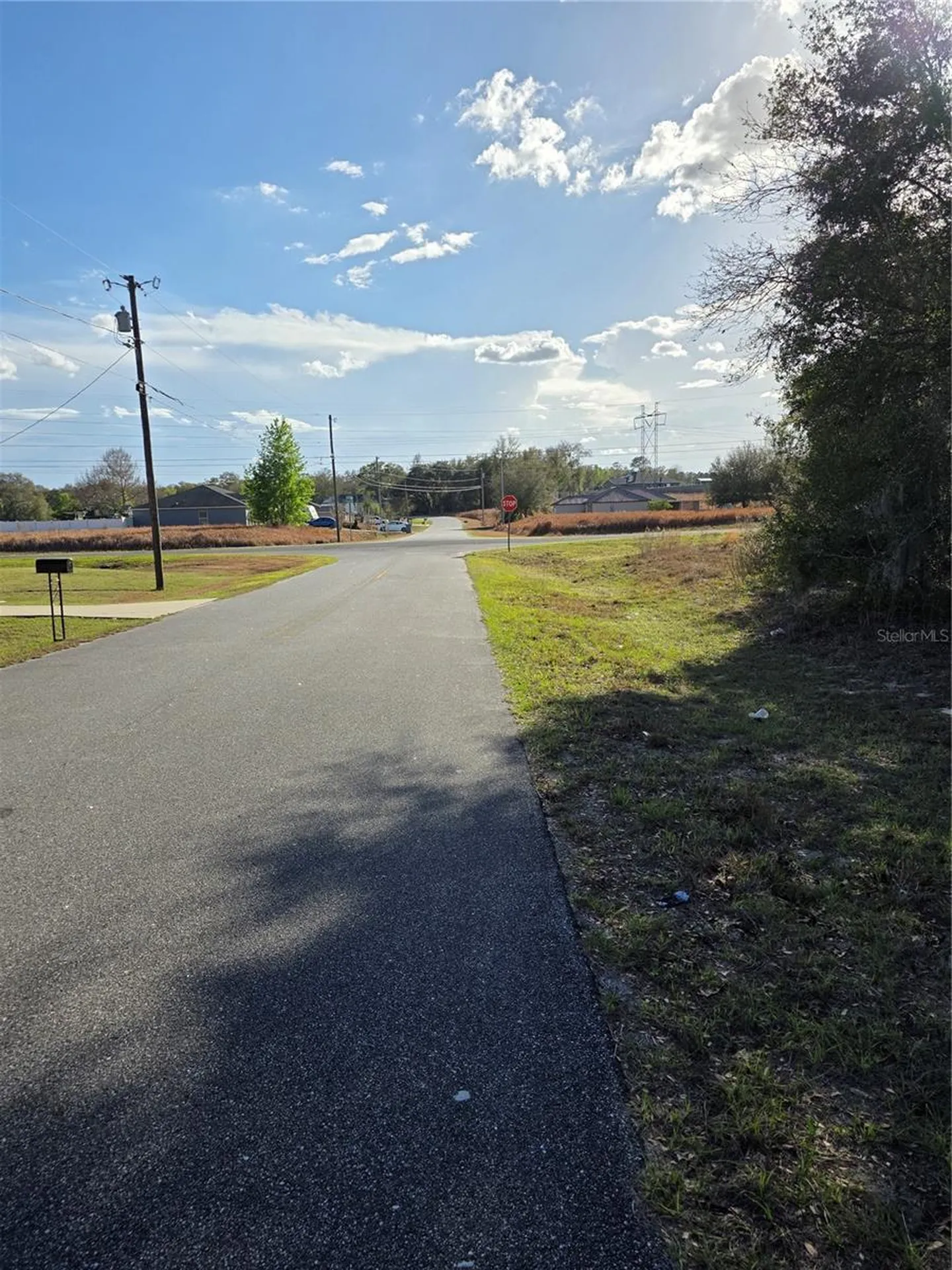 Tbd Locust Loop Circle Ocala FL 34472