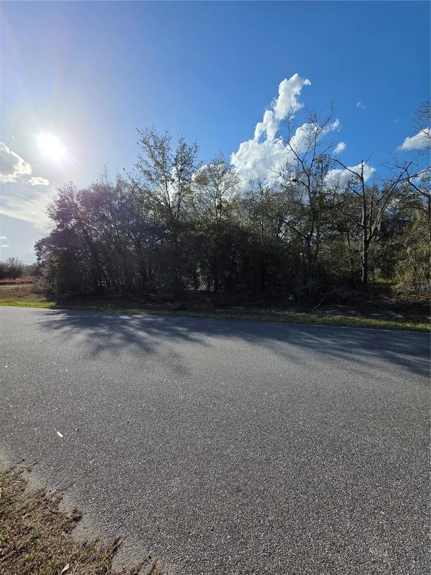 Tbd Locust Loop Circle Ocala FL 34472