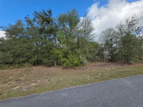 Tbd Locust Loop Circle Ocala FL 34472