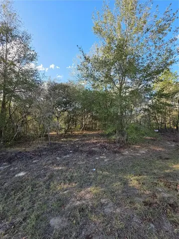 Tbd Locust Loop Circle Ocala FL 34472