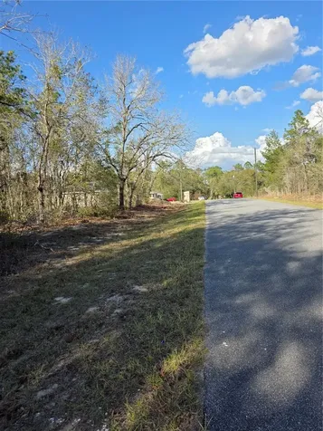Tbd Locust Loop Circle Ocala FL 34472