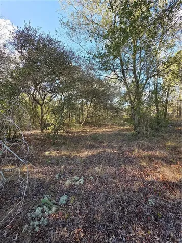 Tbd Locust Loop Circle Ocala FL 34472