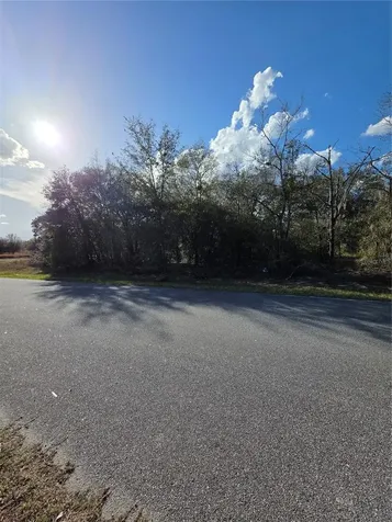 Tbd Locust Loop Circle Ocala FL 34472