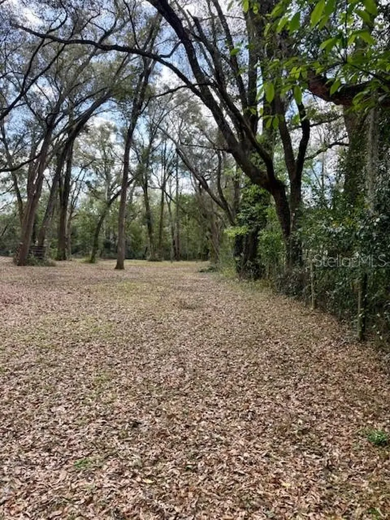 2350 SE 41 Highway Morriston FL 32668