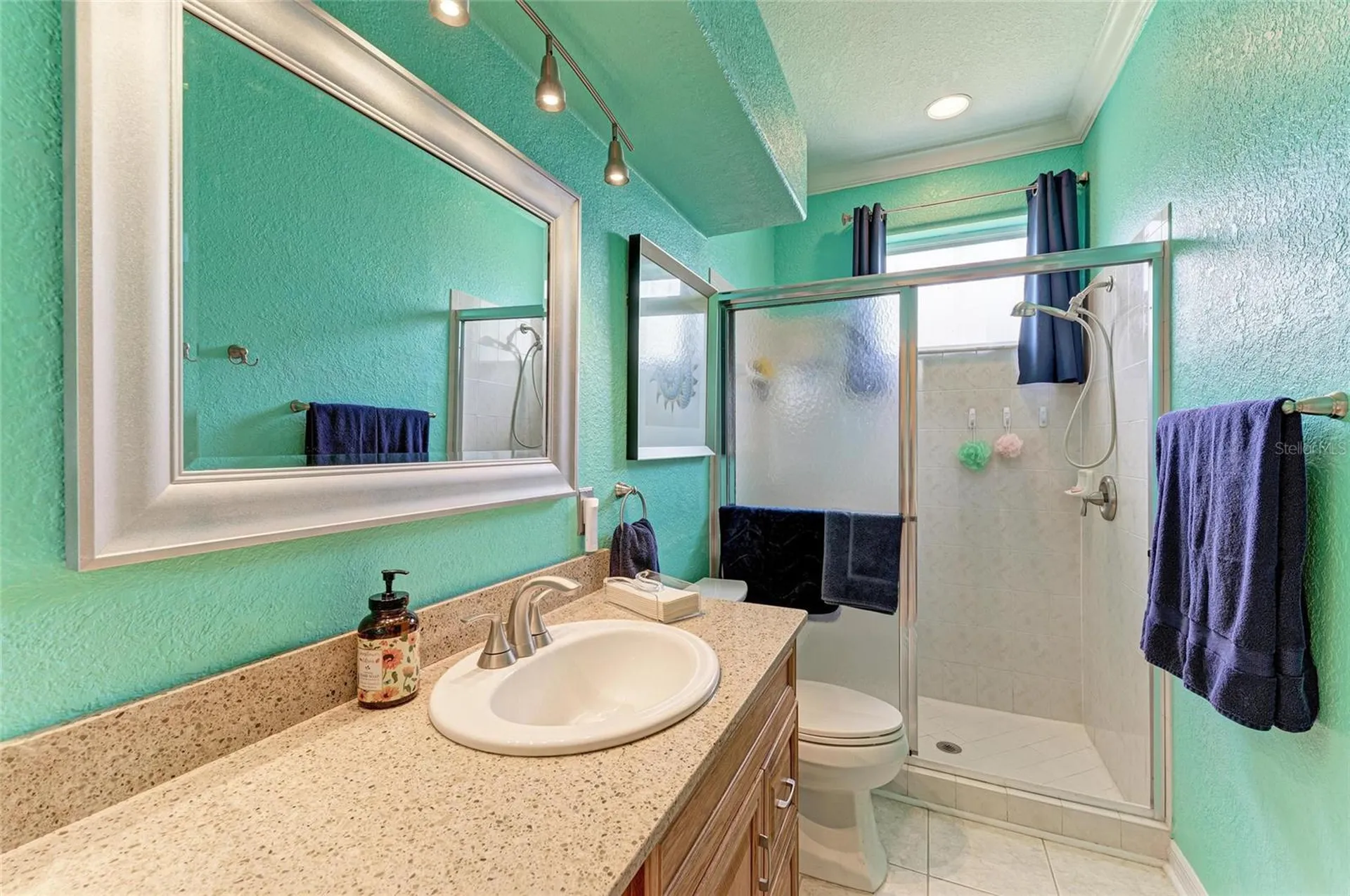 26211 Feathersound Drive Punta Gorda FL 33955