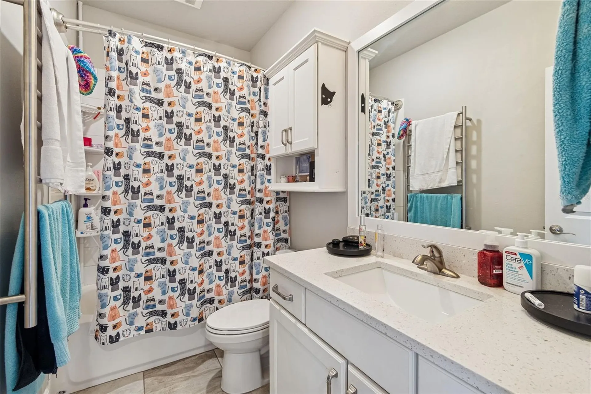 2407 W Carmen Street Tampa FL 33609