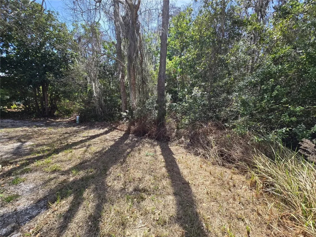 7139 Alamanda Boulevard W Lake Wales FL 33898